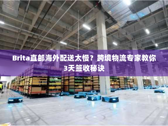 Brita直邮海外配送太慢?跨境物流专家教你3天签收秘诀 Brita直邮海外配送太慢?跨境物流专家教你3天签收秘诀