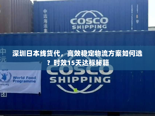 深圳日本线货代,高效稳定物流方案如何选?时效15天达标秘籍 深圳日本线货代,高效稳定物流方案如何选?时效15天达标秘籍