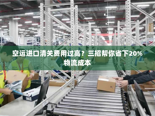 空运进口清关费用过高？三招帮你省下20%物流成本