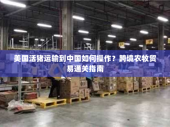 美国活猪运输到中国如何操作？跨境农牧贸易通关指南