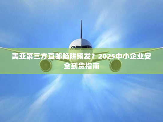 美亚第三方直邮陷阱频发？2025中小企业安全到货指南