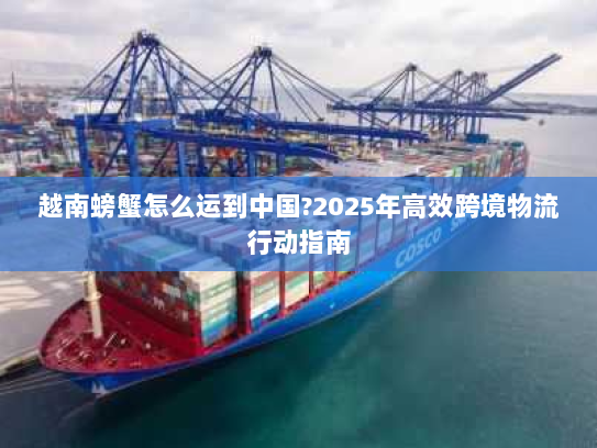 越南螃蟹怎么运到中国?2025年高效跨境物流行动指南 越南螃蟹怎么运到中国?2025年高效跨境物流行动指南