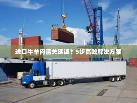 进口牛羊肉清关延误？5步高效解决方案