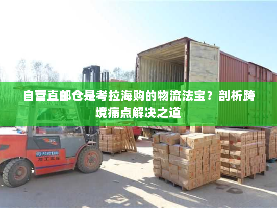 自营直邮仓是考拉海购的物流法宝?剖析跨境痛点解决之道 自营直邮仓是考拉海购的物流法宝?剖析跨境痛点解决之道
