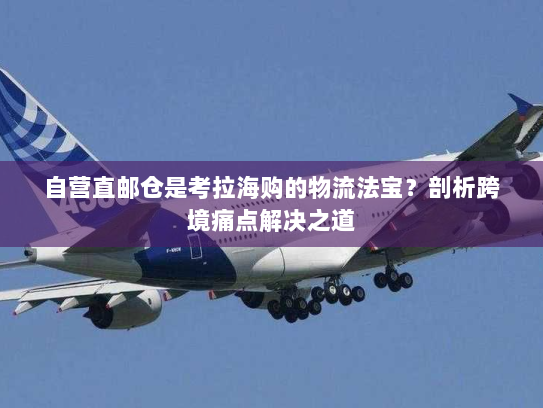 自营直邮仓是考拉海购的物流法宝?剖析跨境痛点解决之道 自营直邮仓是考拉海购的物流法宝?剖析跨境痛点解决之道