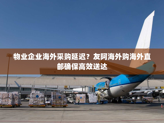 物业企业海外采购延迟?友阿海外购海外直邮确保高效送达 物业企业海外采购延迟?友阿海外购海外直邮确保高效送达