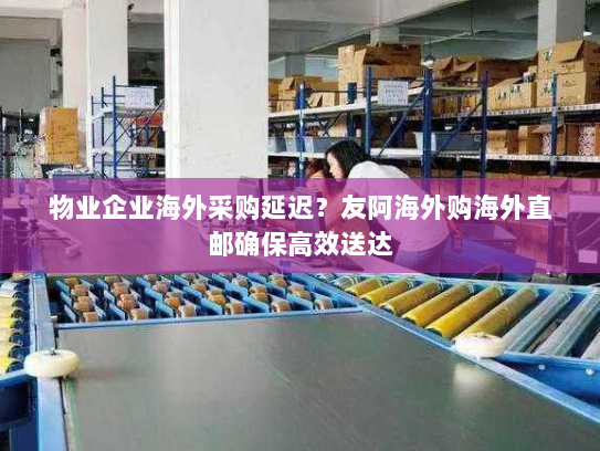 物业企业海外采购延迟?友阿海外购海外直邮确保高效送达 物业企业海外采购延迟?友阿海外购海外直邮确保高效送达