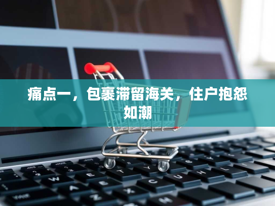 痛点一,包裹滞留海关,住户抱怨如潮 痛点一,包裹滞留海关,住户抱怨如潮