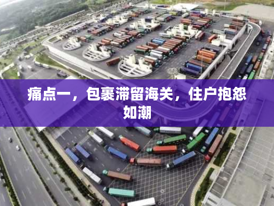 痛点一,包裹滞留海关,住户抱怨如潮 痛点一,包裹滞留海关,住户抱怨如潮