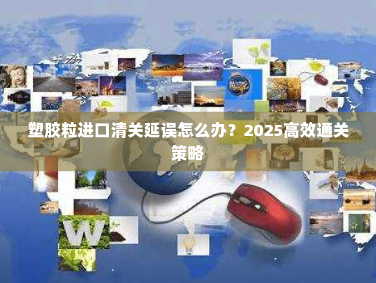 塑胶粒进口清关延误怎么办？2025高效通关策略