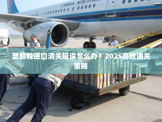 塑胶粒进口清关延误怎么办？2025高效通关策略
