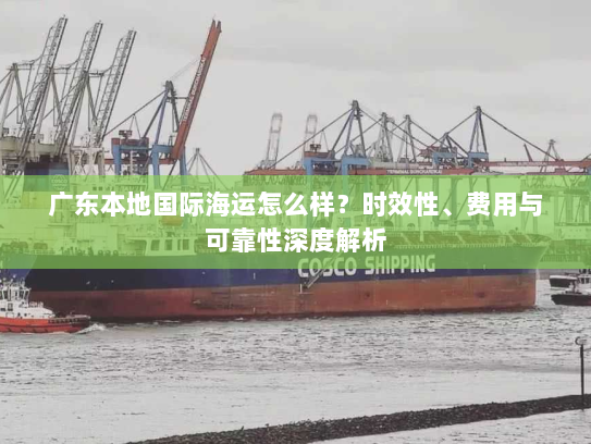 广东本地国际海运怎么样?时效性、费用与可靠性深度解析 广东本地国际海运怎么样?时效性、费用与可靠性深度解析