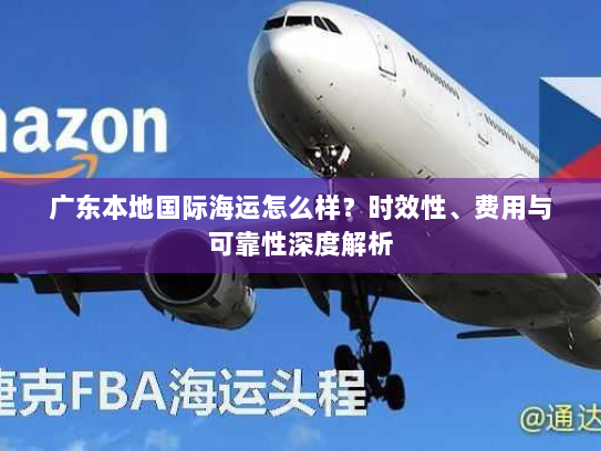广东本地国际海运怎么样?时效性、费用与可靠性深度解析 广东本地国际海运怎么样?时效性、费用与可靠性深度解析
