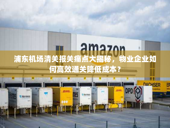 浦东机场清关报关痛点大揭秘,物业企业如何高效通关降低成本? 浦东机场清关报关痛点大揭秘,物业企业如何高效通关降低成本?