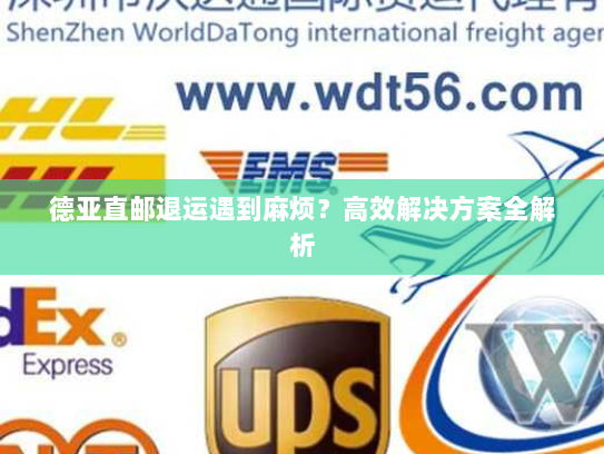 德亚直邮退运遇到麻烦?高效解决方案全解析 德亚直邮退运遇到麻烦?高效解决方案全解析