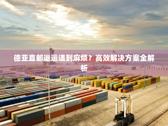 德亚直邮退运遇到麻烦?高效解决方案全解析 德亚直邮退运遇到麻烦?高效解决方案全解析