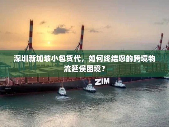 深圳新加坡小包货代，如何终结您的跨境物流延误困境？