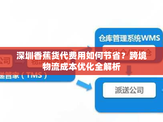 深圳香蕉货代费用如何节省？跨境物流成本优化全解析
