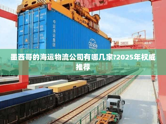 墨西哥的海运物流公司有哪几家?2025年权威推荐 墨西哥的海运物流公司有哪几家?2025年权威推荐