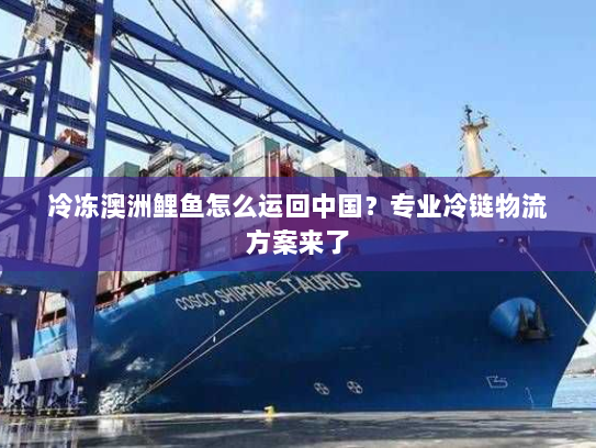 冷冻澳洲鲤鱼怎么运回中国?专业冷链物流方案来了 冷冻澳洲鲤鱼怎么运回中国?专业冷链物流方案来了