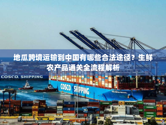 地瓜跨境运输到中国有哪些合法途径？生鲜农产品通关全流程解析