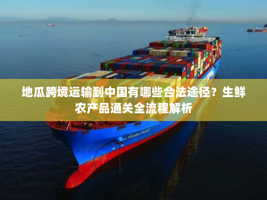 地瓜跨境运输到中国有哪些合法途径？生鲜农产品通关全流程解析