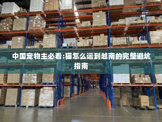 中国宠物主必看:猫怎么运到越南的完整避坑指南