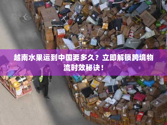 越南水果运到中国要多久？立即解锁跨境物流时效秘诀！