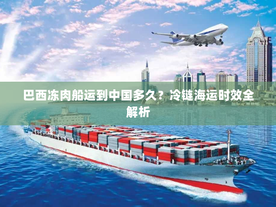 巴西冻肉船运到中国多久?冷链海运时效全解析 巴西冻肉船运到中国多久?冷链海运时效全解析