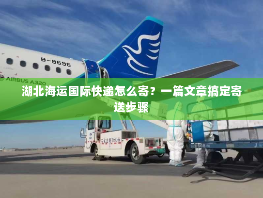 湖北海运国际快递怎么寄?一篇文章搞定寄送步骤 湖北海运国际快递怎么寄?一篇文章搞定寄送步骤