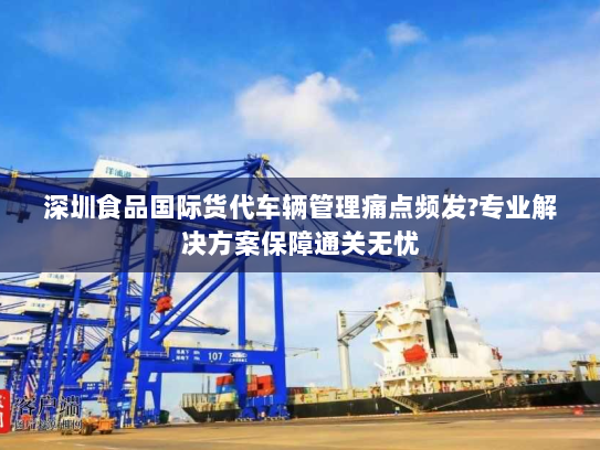 深圳食品国际货代车辆管理痛点频发?专业解决方案保障通关无忧 深圳食品国际货代车辆管理痛点频发?专业解决方案保障通关无忧