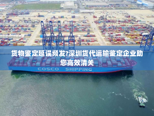 货物鉴定延误频发?深圳货代运输鉴定企业助您高效清关 货物鉴定延误频发?深圳货代运输鉴定企业助您高效清关