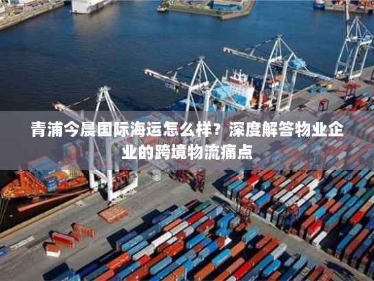 青浦今晨国际海运怎么样？深度解答物业企业的跨境物流痛点