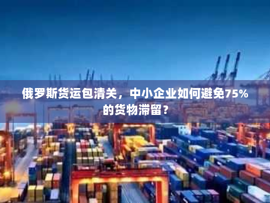 俄罗斯货运包清关,中小企业如何避免75%的货物滞留? 俄罗斯货运包清关,中小企业如何避免75%的货物滞留?