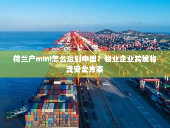 荷兰产mini怎么运到中国?物业企业跨境物流安全方案 荷兰产mini怎么运到中国?物业企业跨境物流安全方案