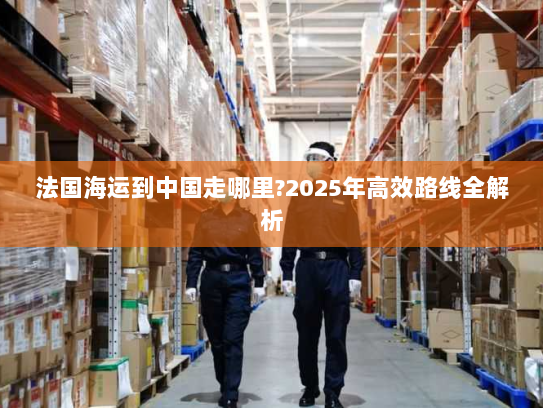 法国海运到中国走哪里?2025年高效路线全解析