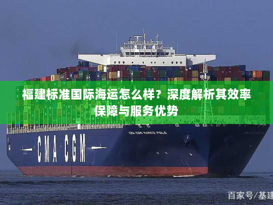 福建标准国际海运怎么样?深度解析其效率保障与服务优势 福建标准国际海运怎么样?深度解析其效率保障与服务优势