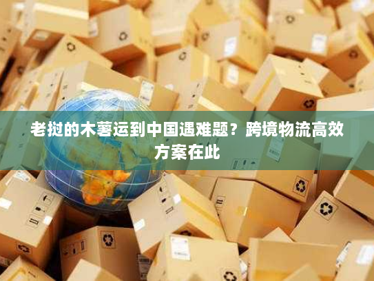 老挝的木薯运到中国遇难题?跨境物流高效方案在此 老挝的木薯运到中国遇难题?跨境物流高效方案在此