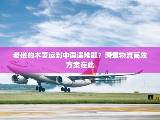 老挝的木薯运到中国遇难题?跨境物流高效方案在此 老挝的木薯运到中国遇难题?跨境物流高效方案在此