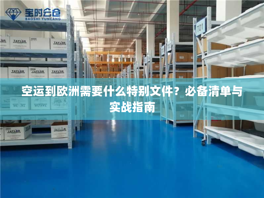 空运到欧洲需要什么特别文件?必备清单与实战指南 空运到欧洲需要什么特别文件?必备清单与实战指南