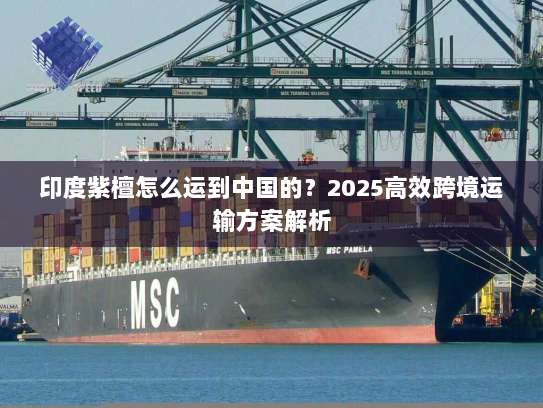 印度紫檀怎么运到中国的?2025高效跨境运输方案解析 印度紫檀怎么运到中国的?2025高效跨境运输方案解析