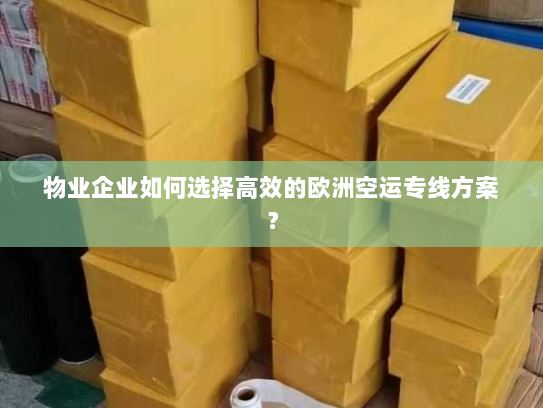 物业企业如何选择高效的欧洲空运专线方案? 物业企业如何选择高效的欧洲空运专线方案?