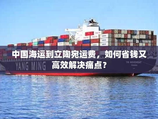中国海运到立陶宛运费，如何省钱又高效解决痛点？
