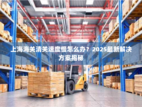 上海海关清关速度慢怎么办?2025最新解决方案揭秘 上海海关清关速度慢怎么办?2025最新解决方案揭秘