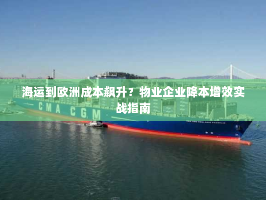 海运到欧洲成本飙升？物业企业降本增效实战指南