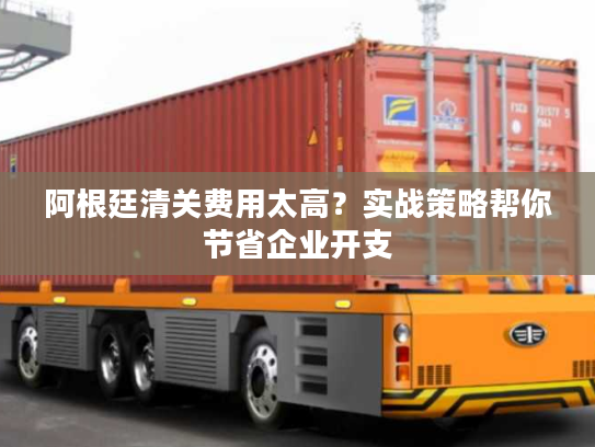 阿根廷清关费用太高？实战策略帮你节省企业开支