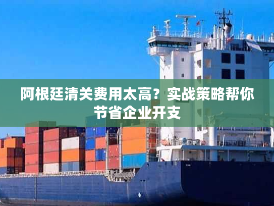 阿根廷清关费用太高？实战策略帮你节省企业开支
