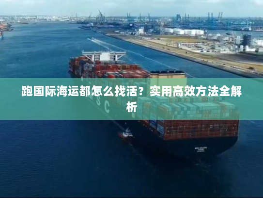 跑国际海运都怎么找活？实用高效方法全解析