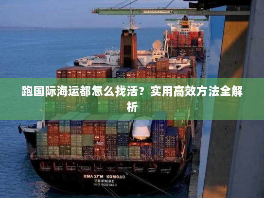 跑国际海运都怎么找活?实用高效方法全解析 跑国际海运都怎么找活?实用高效方法全解析