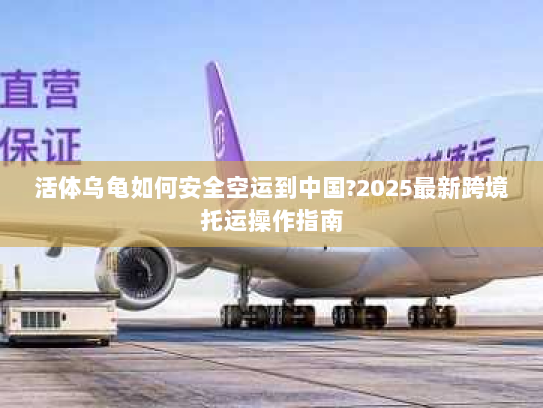 活体乌龟如何安全空运到中国?2025最新跨境托运操作指南 活体乌龟如何安全空运到中国?2025最新跨境托运操作指南